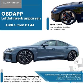 Audi e-tron GT 4J air suspension lowering variable adjustment