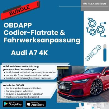 Audi A7 4K BUNDLE Coding-Flatrate and air suspension chassis adjustment / lowering