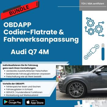 Audi Q7 4M BUNDLE Coding-Flatrate and air suspension chassis adjustment / lowering